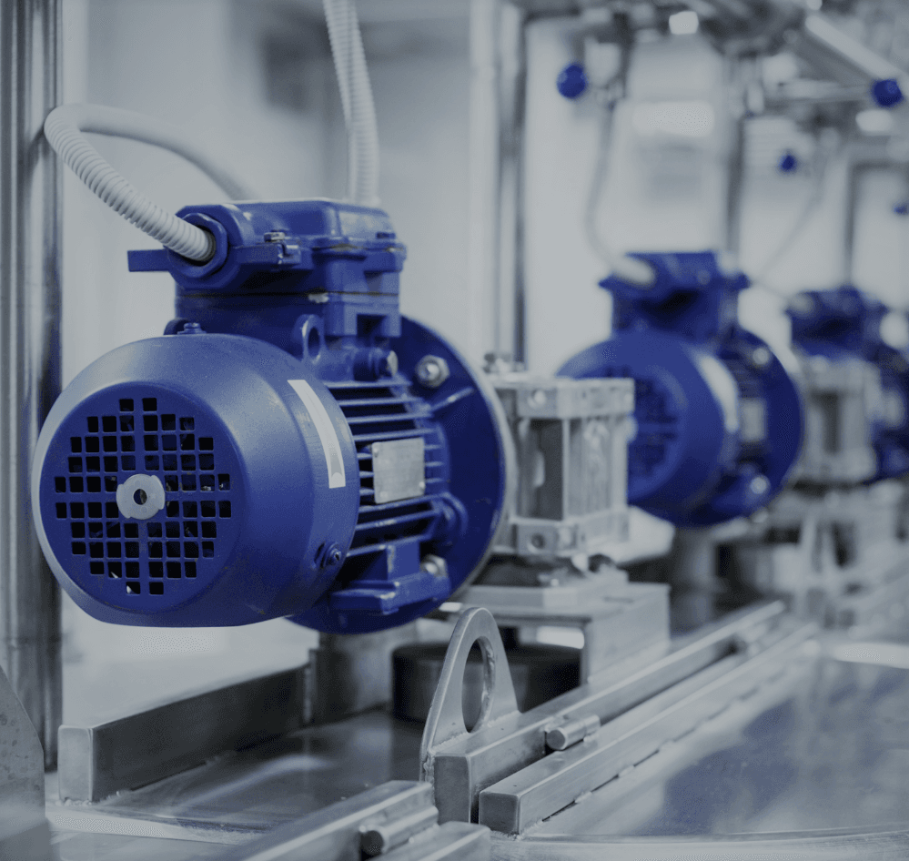 Hoist motor assembly